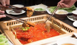 一起火锅吧爆料视频下载,一场美食与真相的邂逅